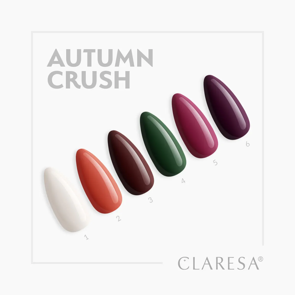 Claresa Autumn Crush 5 - Image 3