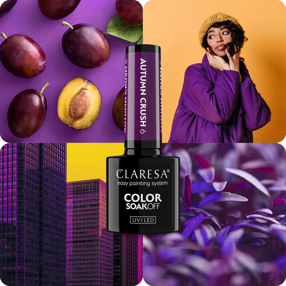 Claresa Autumn Crush 6 - Image 2