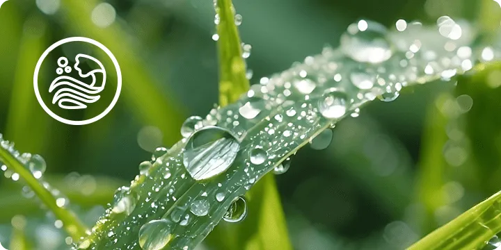 Navdihnjena s čistostjo narave