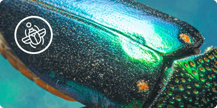 Večdimenzionalen sijaj