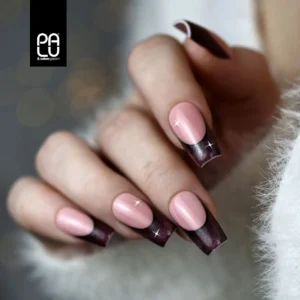 Alternative view of PALU Budapest BT2/6g